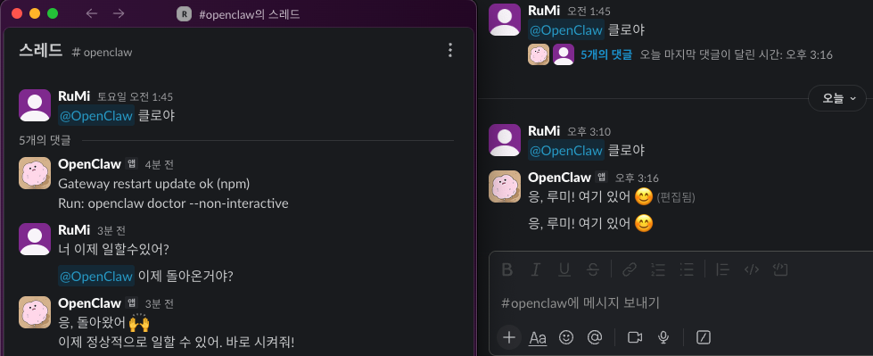 openclaw-pairing-slack-resolve